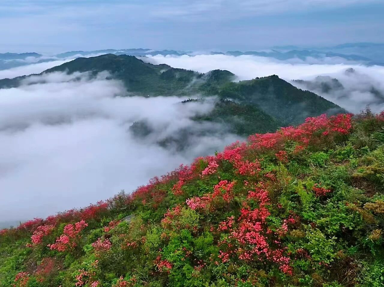 五一春日“江南九寨溝”- 牛頭山森林杜鵑秘境